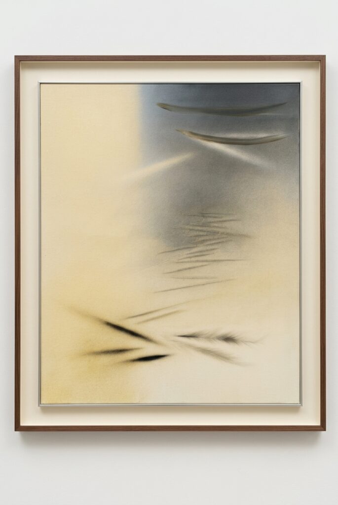André Evrard - Eole XVII, 2015
