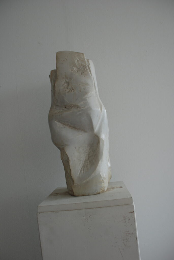 Sculpture N501 (4/4)