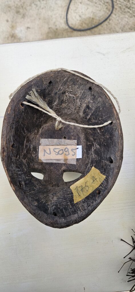 N5095 (2/2)